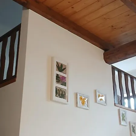 La Casa Di Giuly *